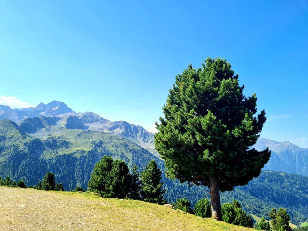 Bergnest Oetztal - Appartements Umhausen Kültér fotó